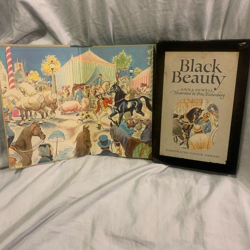 Vintage Black Beauty Illustrated JR. Library in Display Box
