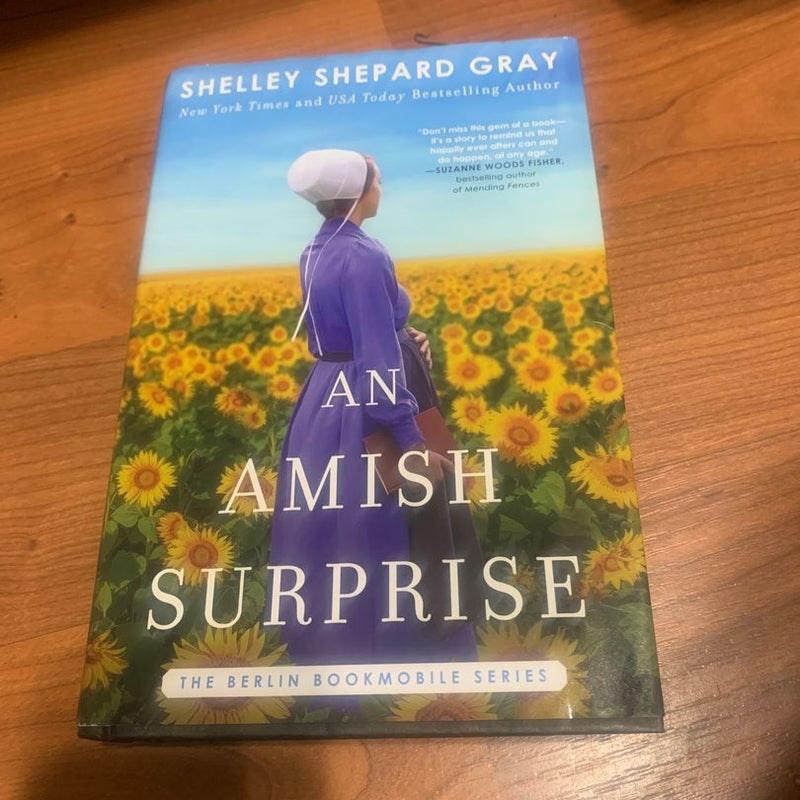 An Amish Surprise - Large Print