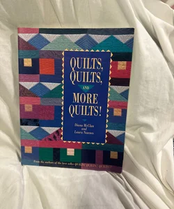 Quilts, Quilts and More Quilts!
