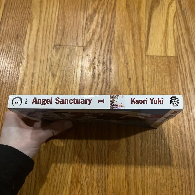Angel Sanctuary - Vol. 1
