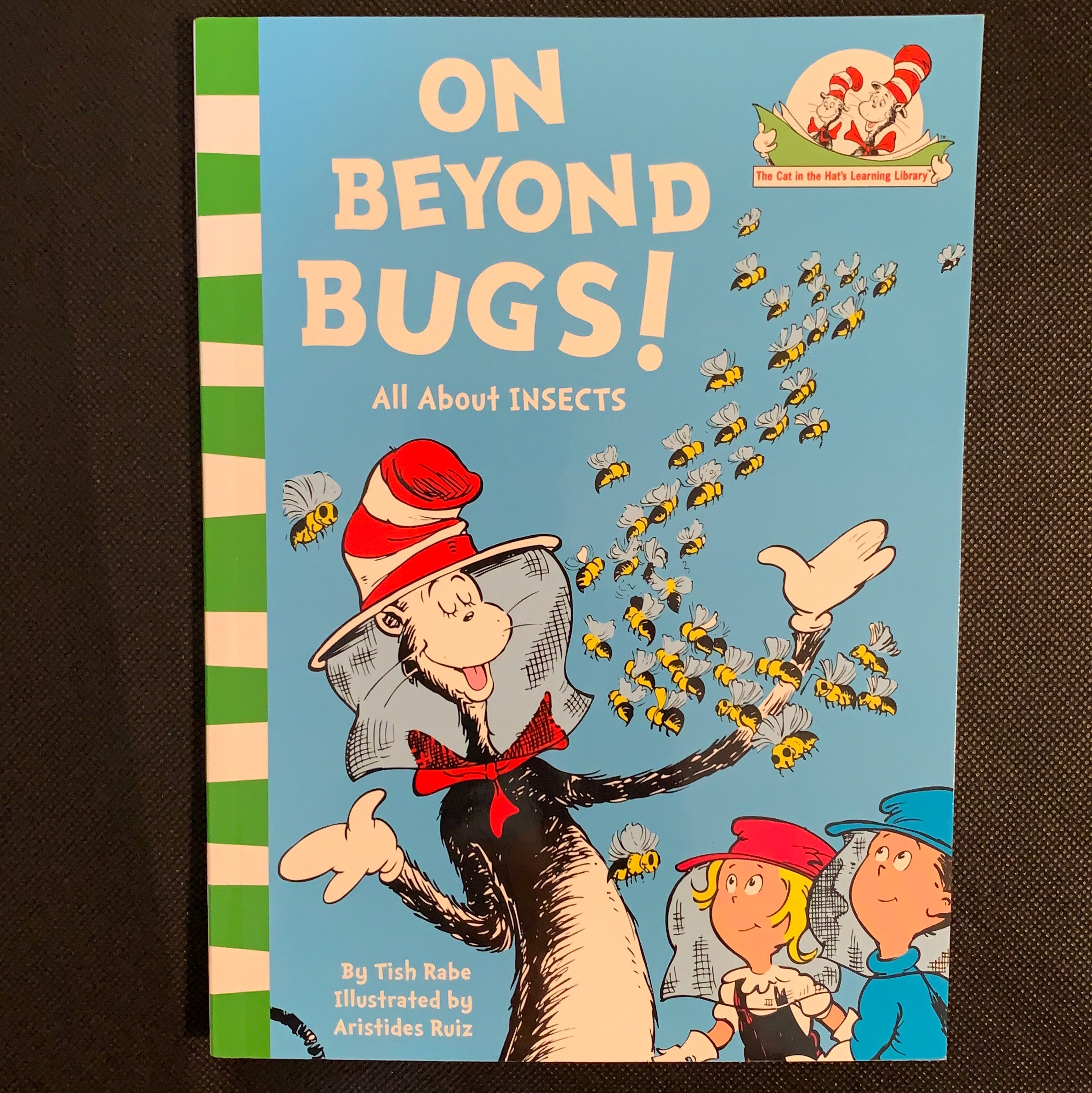 On Beyond Bugs!