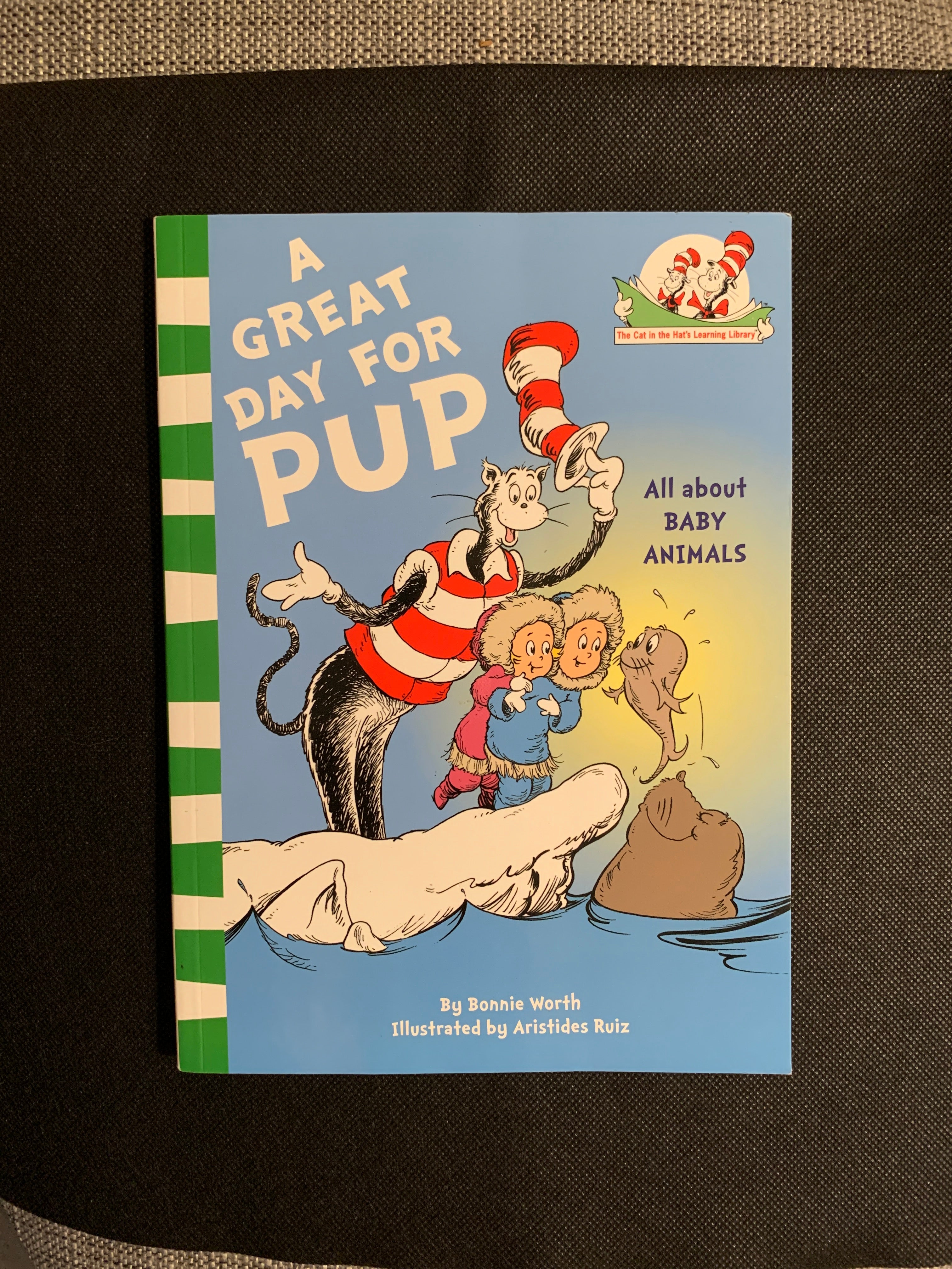 A Great Day for Pup