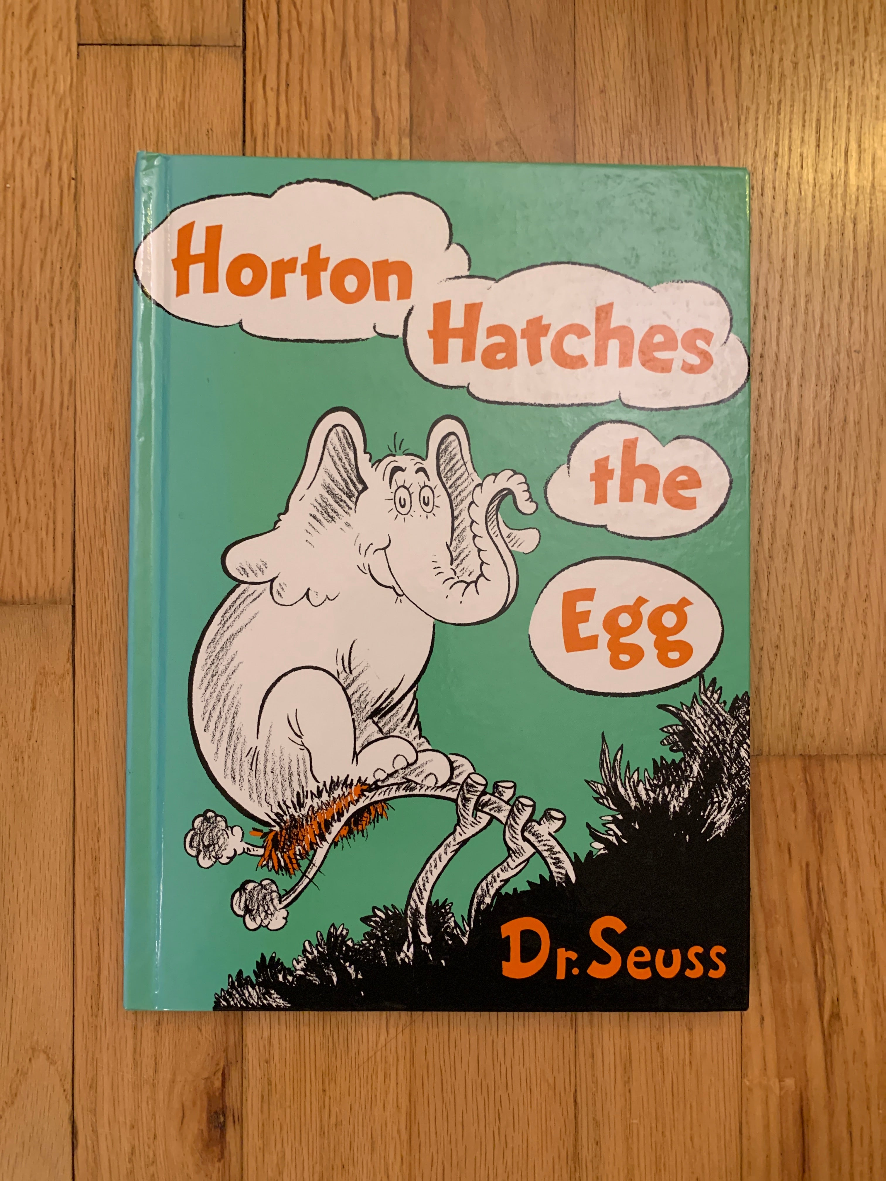 Horton Hatches the Egg