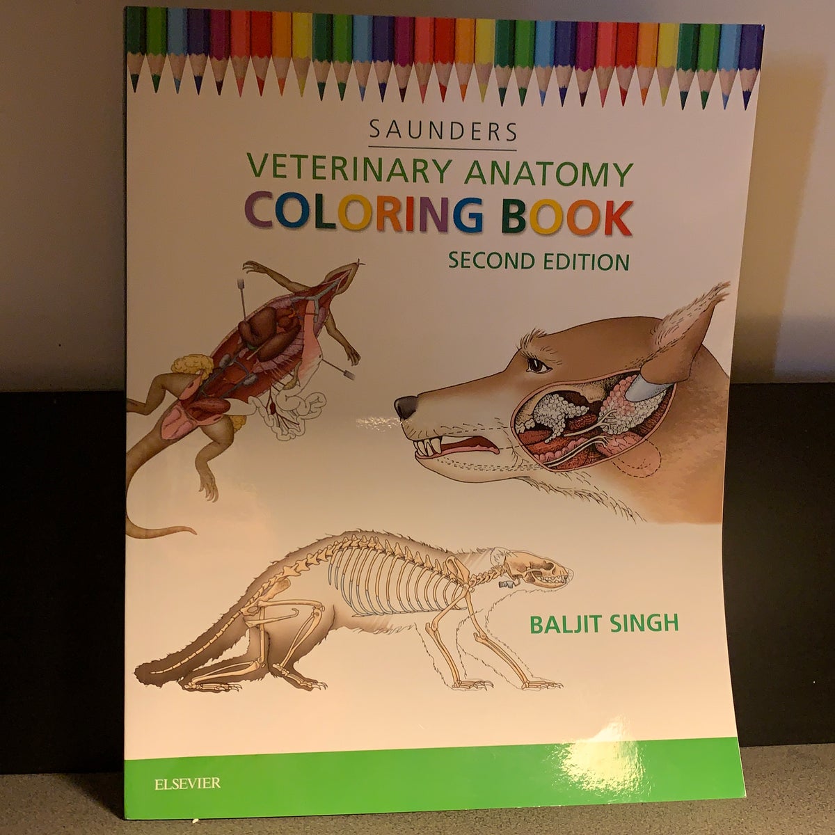 Veterinary Anatomy Coloring Book