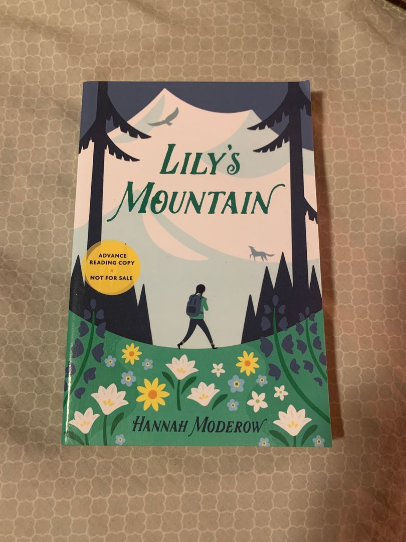 Lily's Mountain