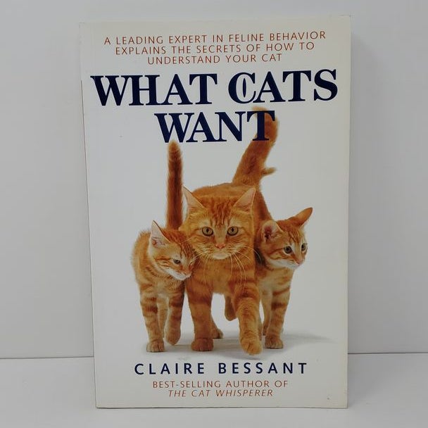 What Cats Want