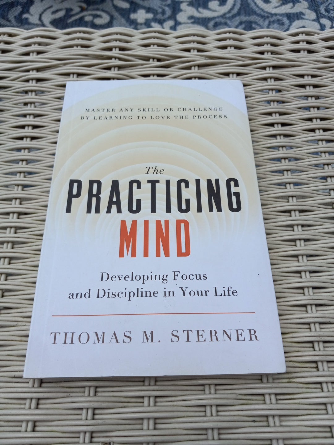 The Practicing Mind