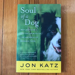 Soul of a Dog