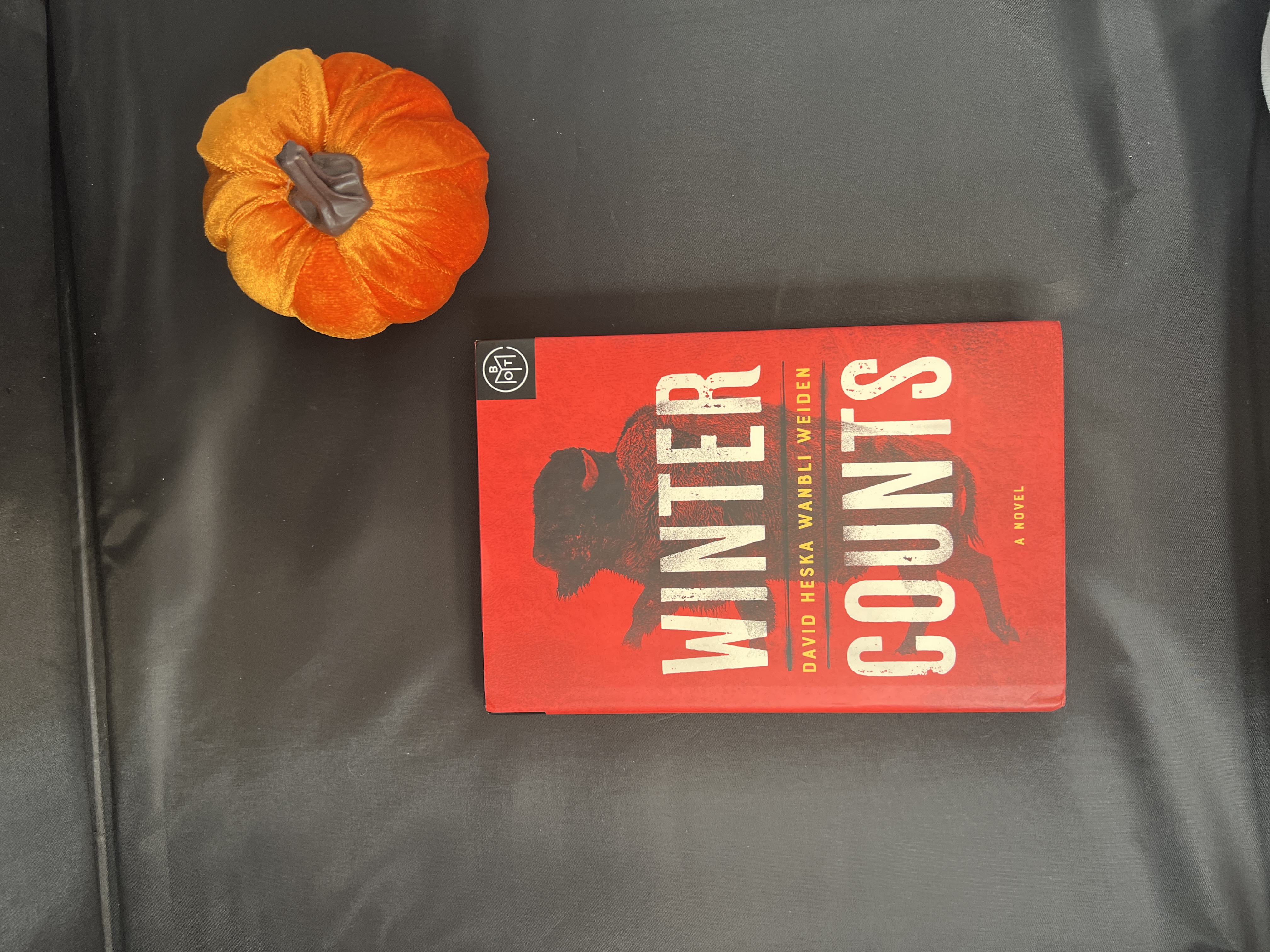 Winter Counts book cover