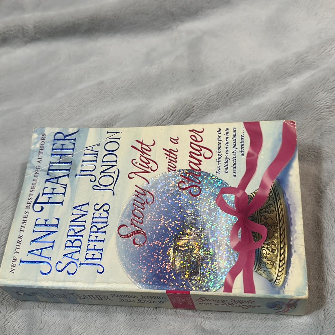 Snowy Night with a Stranger