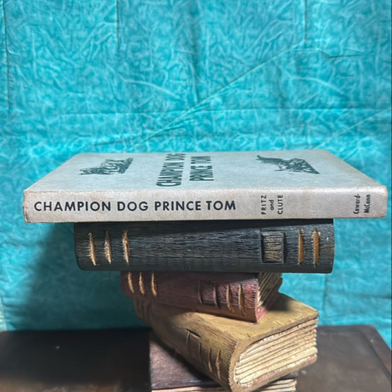 Champion Dog Prince Tom