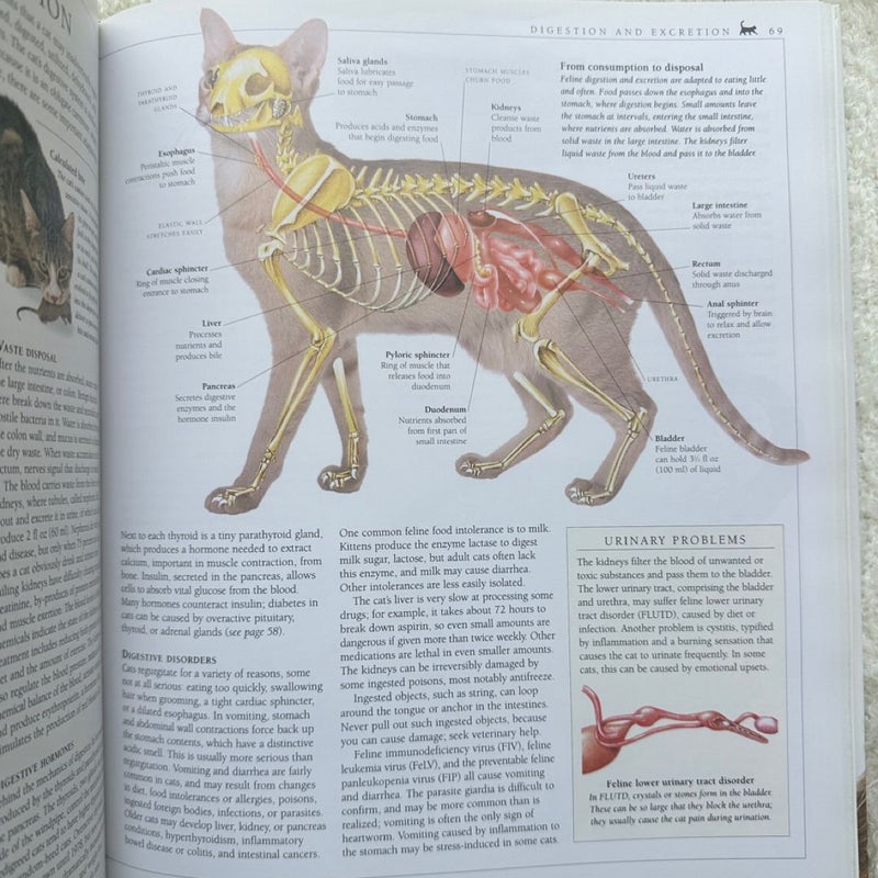 The Encyclopedia of the Cat