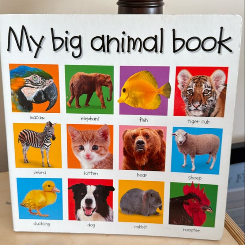 My Big Animal Book