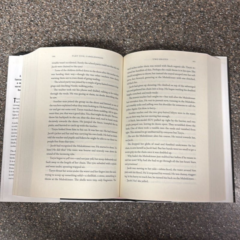 The Absolute Book