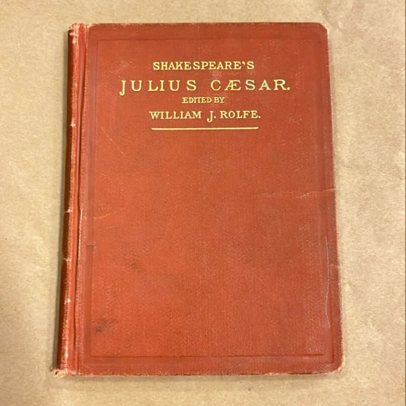 ANTIQUE Julius Cæsar