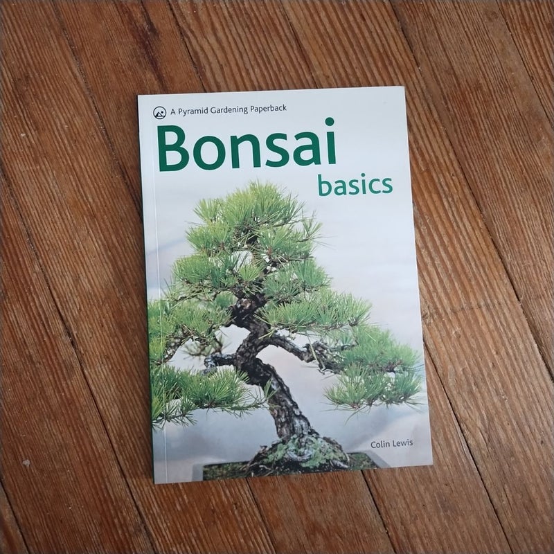 Bonsai Basics - a Comprehensive Guide to Care and Cultivation