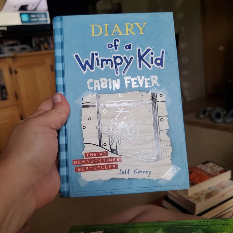 Diary of a Wimpy Kid # 6