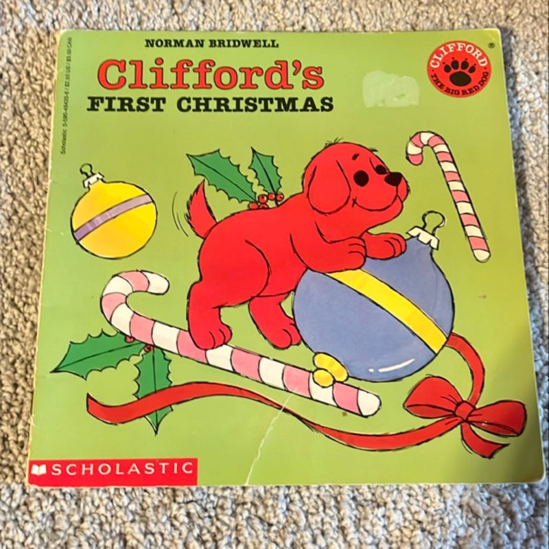 Clifford Bundle