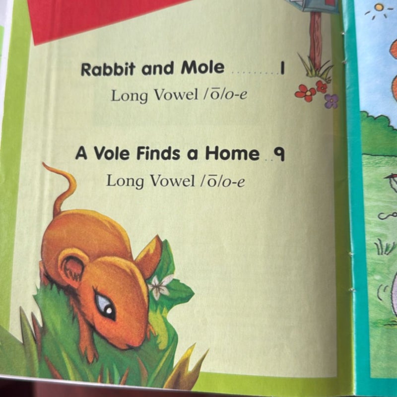 Decodable Book - Grade 1