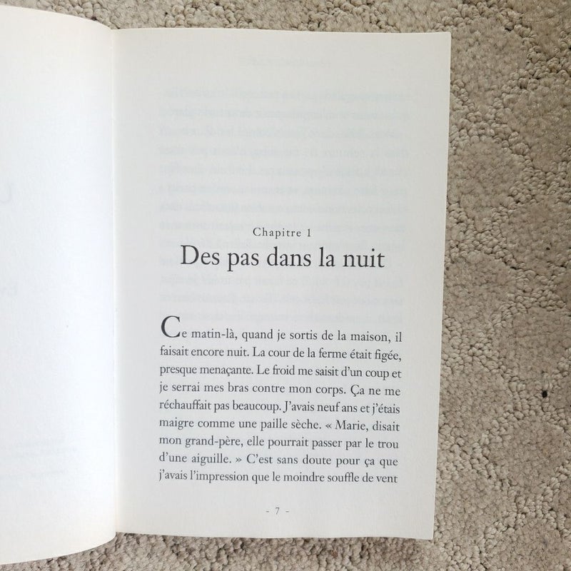 Un Cheval de Rêve 