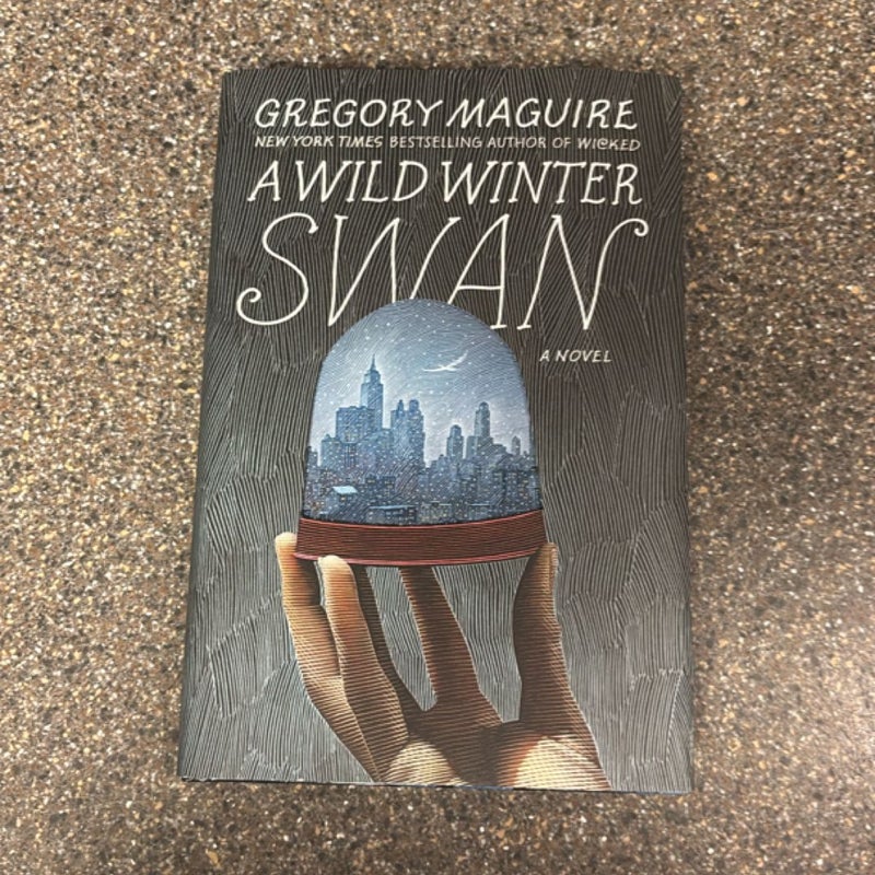 A Wild Winter Swan