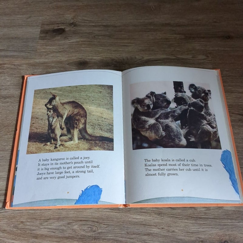 Grover's Book of Cute Little Baby Animals