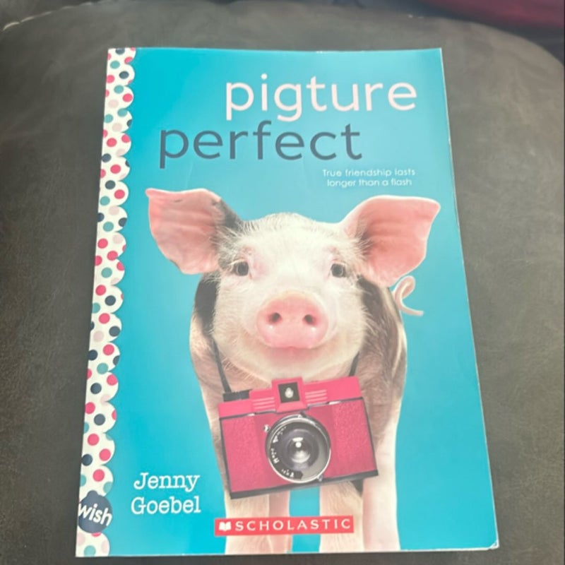 Pigture Perfect: a Wish Novel