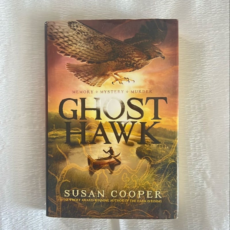 Ghost Hawk