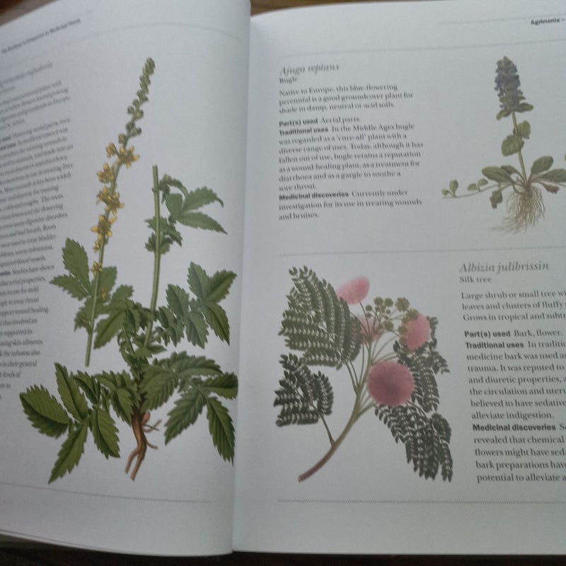 Medicinal plants