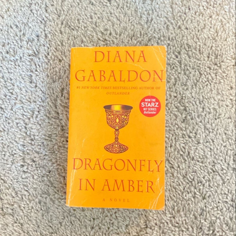 Dragonfly in Amber