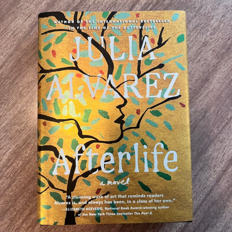 Afterlife