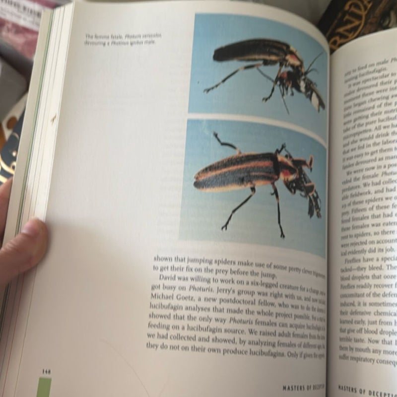 For Love of Insects