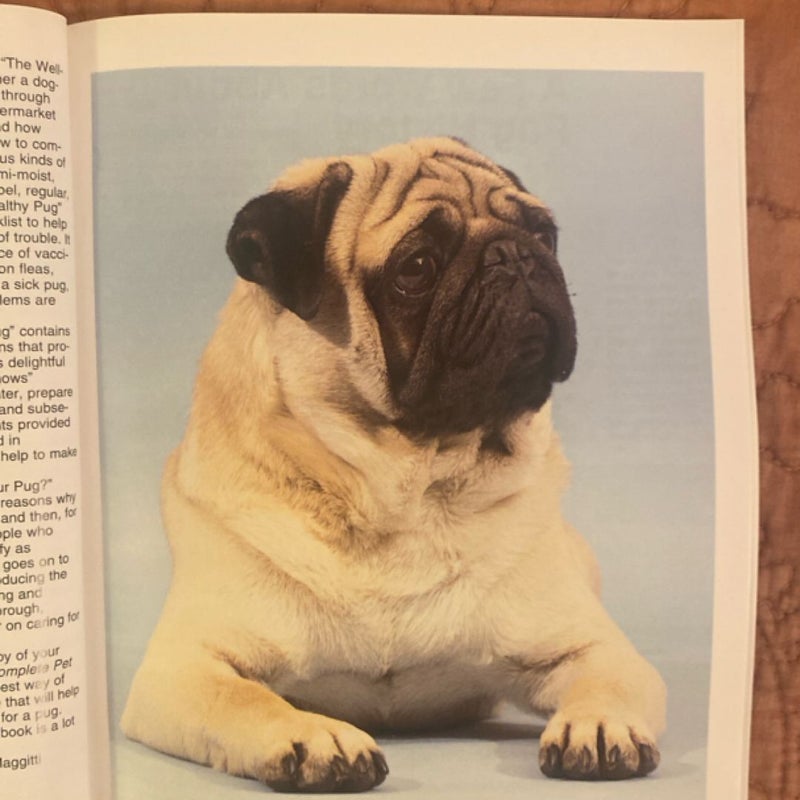 Pugs