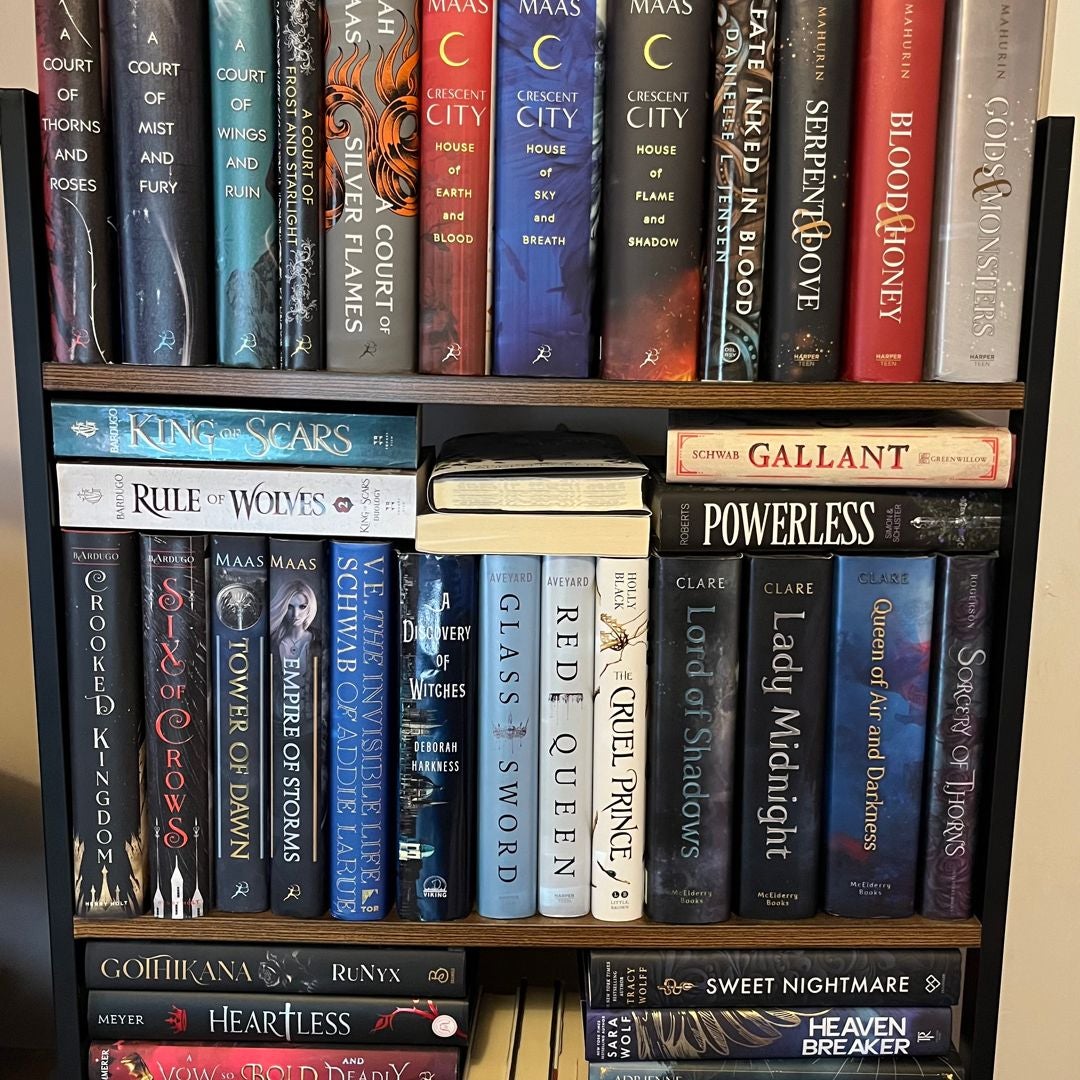 Sheena's Shelf