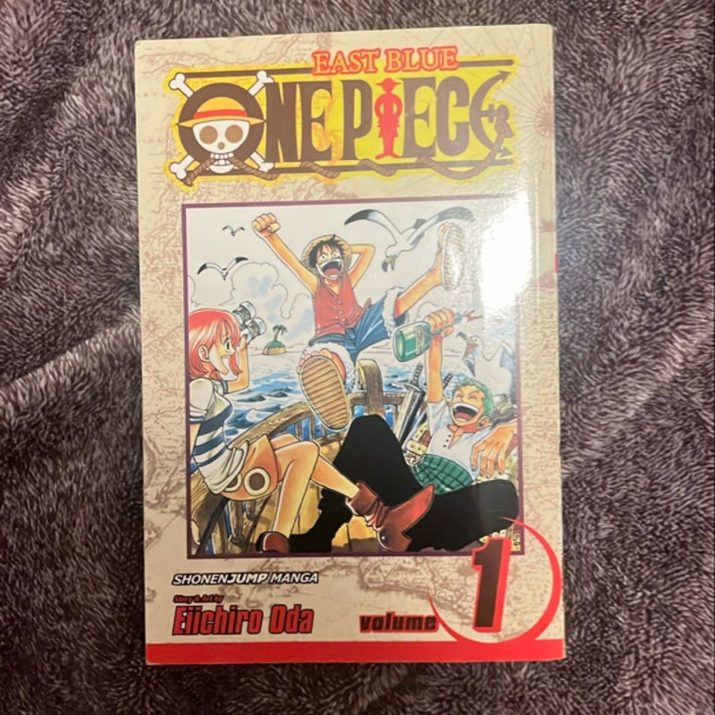 One Piece, Vol. 1