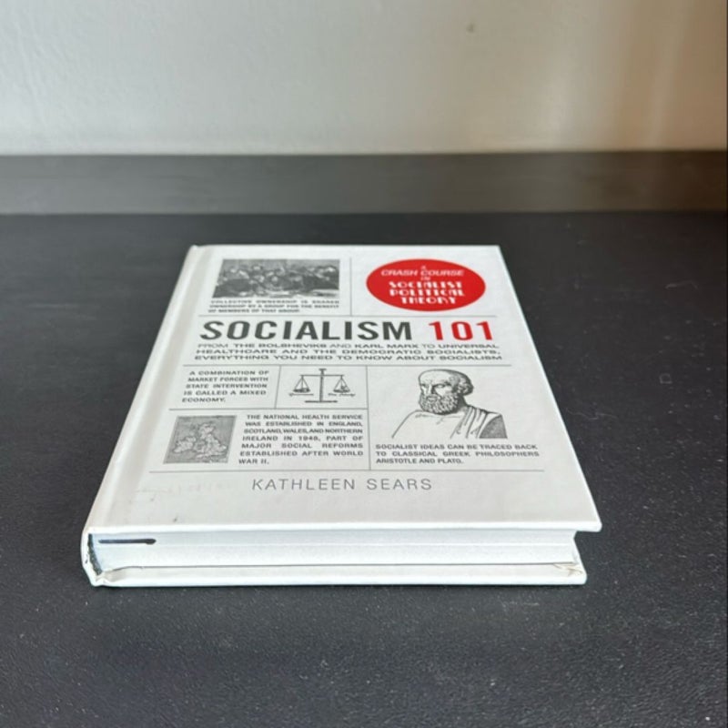 Socialism 101