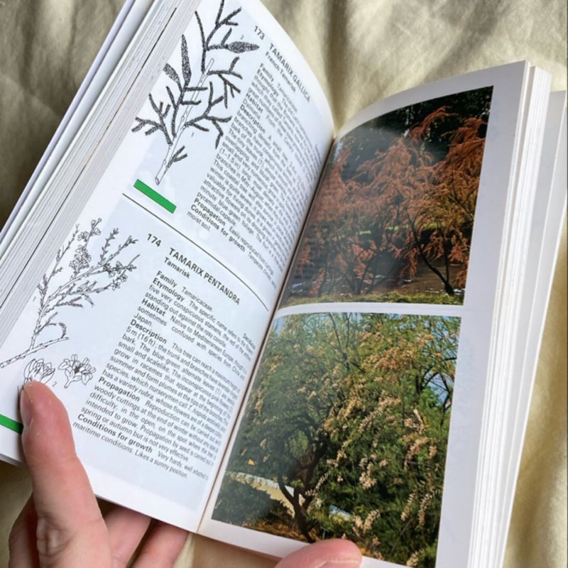 Simon and Schuster's Guide to Trees