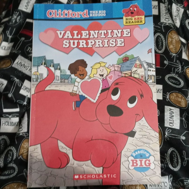 Valentine Surprise by Quinlan B. Lee, Paperback Pangobooks