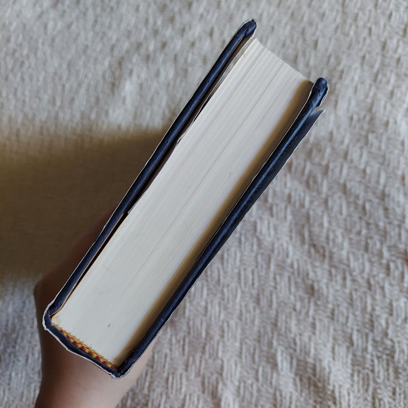 Magnus Chase and the Gods of Asgard