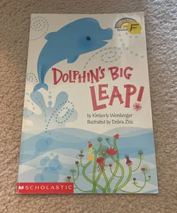 Dolphin’s Big Leap!