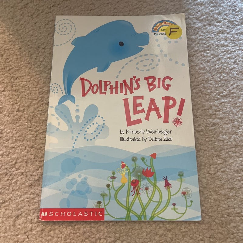 Dolphin’s Big Leap!