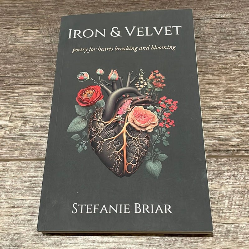 Iron and Velvet