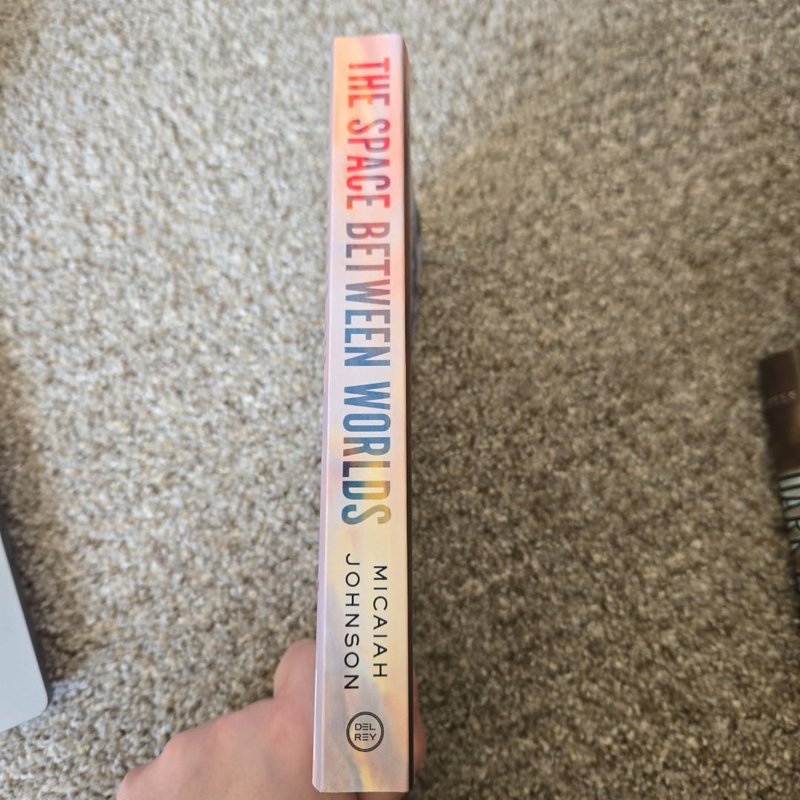 The Space Between Worlds