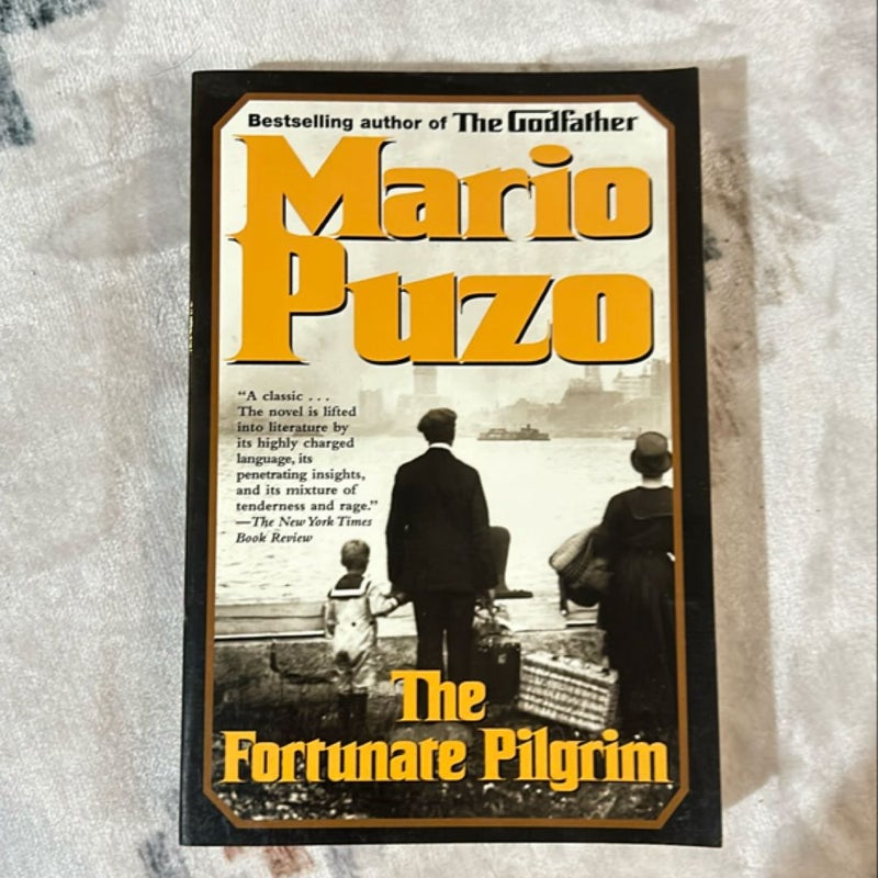 The Fortunate Pilgrim