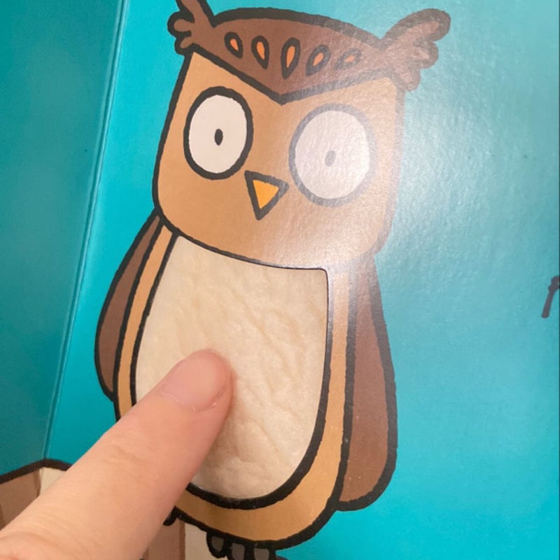 That’s Not My Owl…