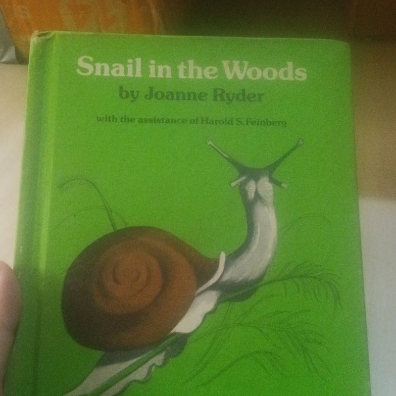 Snail in the woods 