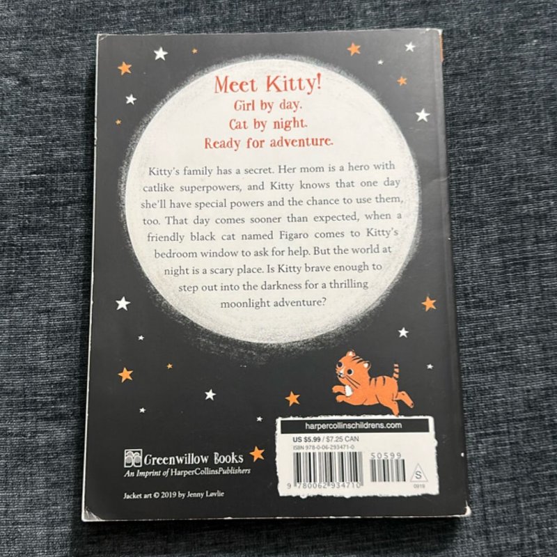 Kitty and the Moonlight Rescue