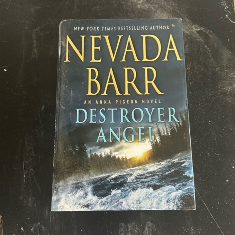 Destroyer Angel