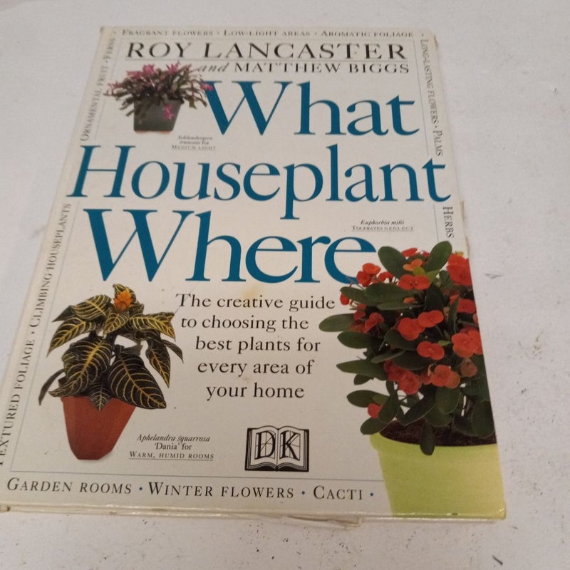 What Houseplant Where