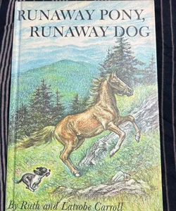 Runaway Pony, Runaway Dog  